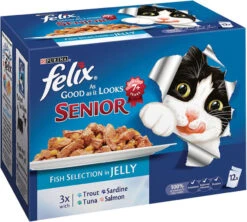 Felix Pouch As Good As It Looks Senior Fish In Jelly