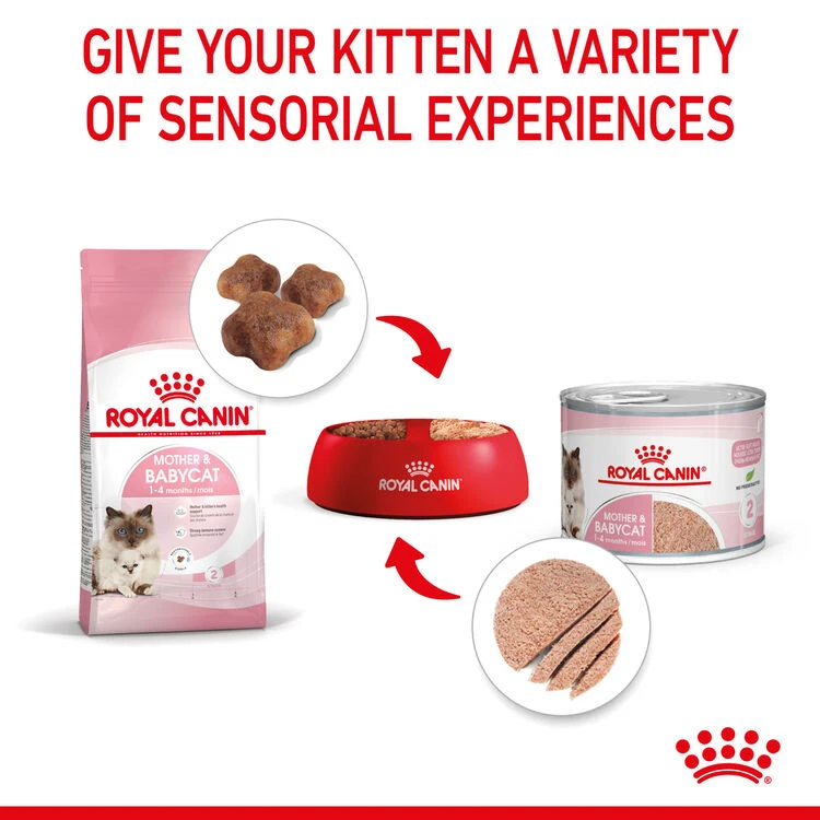ROYAL CANINĀ® Mother And Babycat Adult And Kitten Wet Food - Image 7