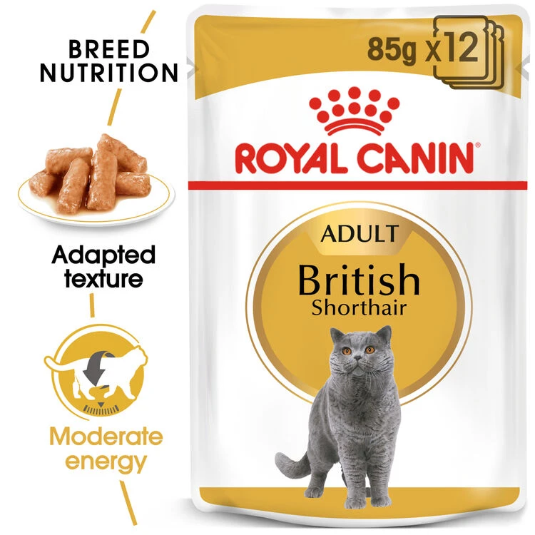 ROYAL CANINĀ® British Shorthair In Gravy Adult Wet Cat Food - Image 2
