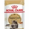 ROYAL CANIN® Maine Coon In Gravy Adult Wet Cat Food
