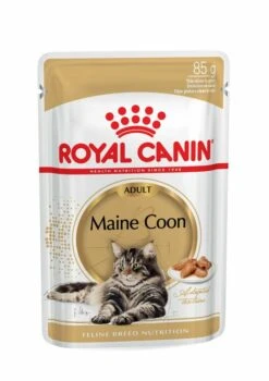 ROYAL CANINĀ® Maine Coon In Gravy Adult Wet Cat Food