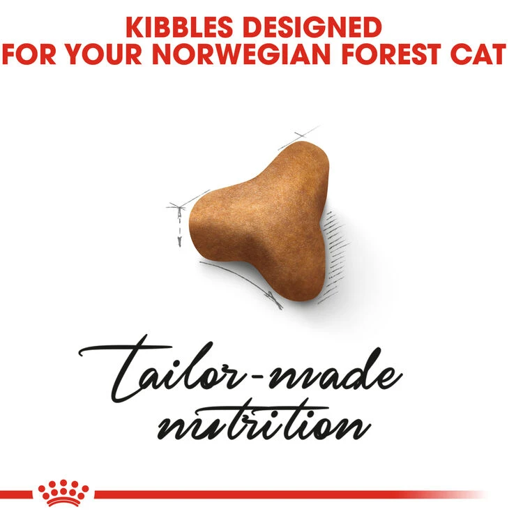 ROYAL CANINĀ® Norwegian Forest Adult Dry Cat Food - Image 6