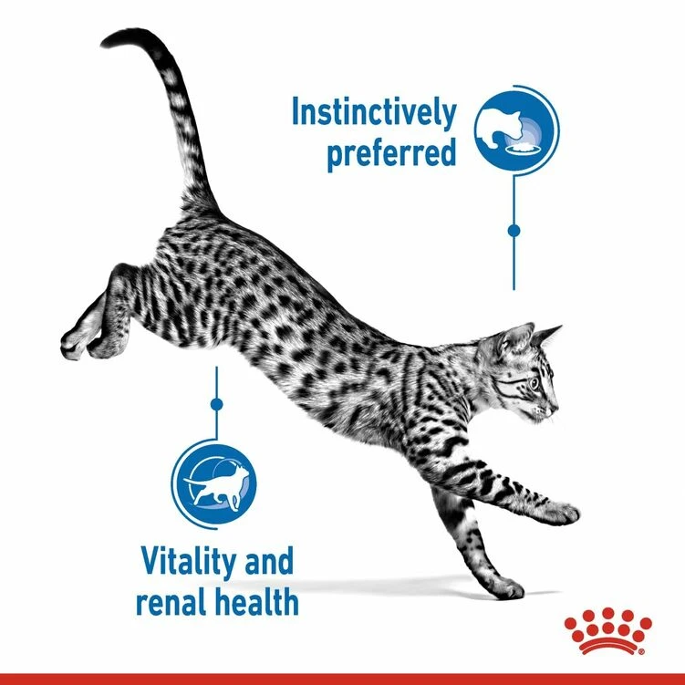 ROYAL CANINĀ® Indoor Sterilised 7+ In Gravy Adult Wet Cat Food - Image 4
