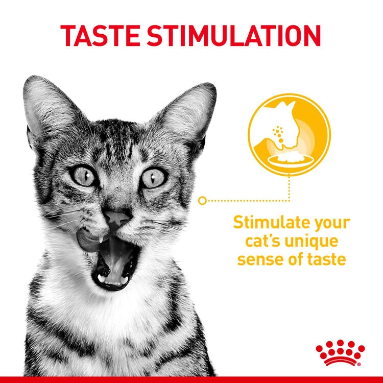 ROYAL CANINĀ® Sensory Taste In Gravy Adult Wet Cat Food - Image 4