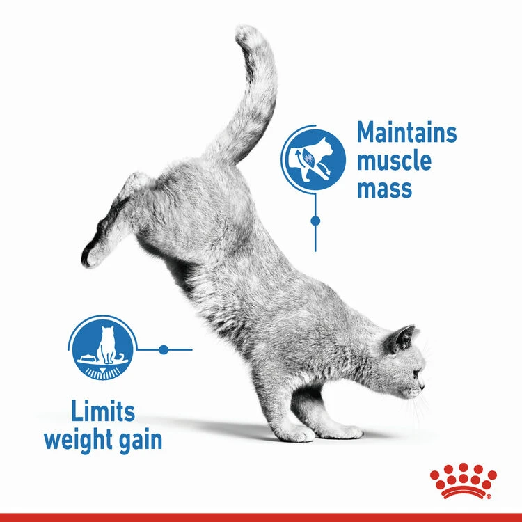 ROYAL CANIN® Light Weight Care In Jelly Adult Wet Cat Food - Image 4