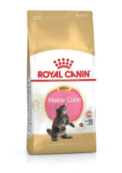 ROYAL CANIN® Maine Coon Kitten Dry Food