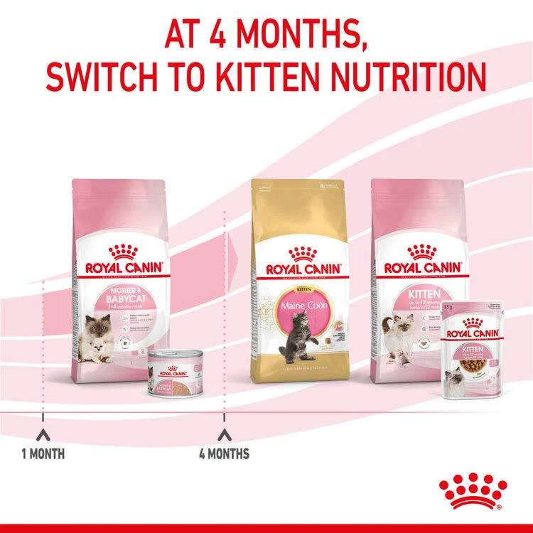ROYAL CANINĀ® Mother And Babycat Adult And Kitten Wet Food - Image 10