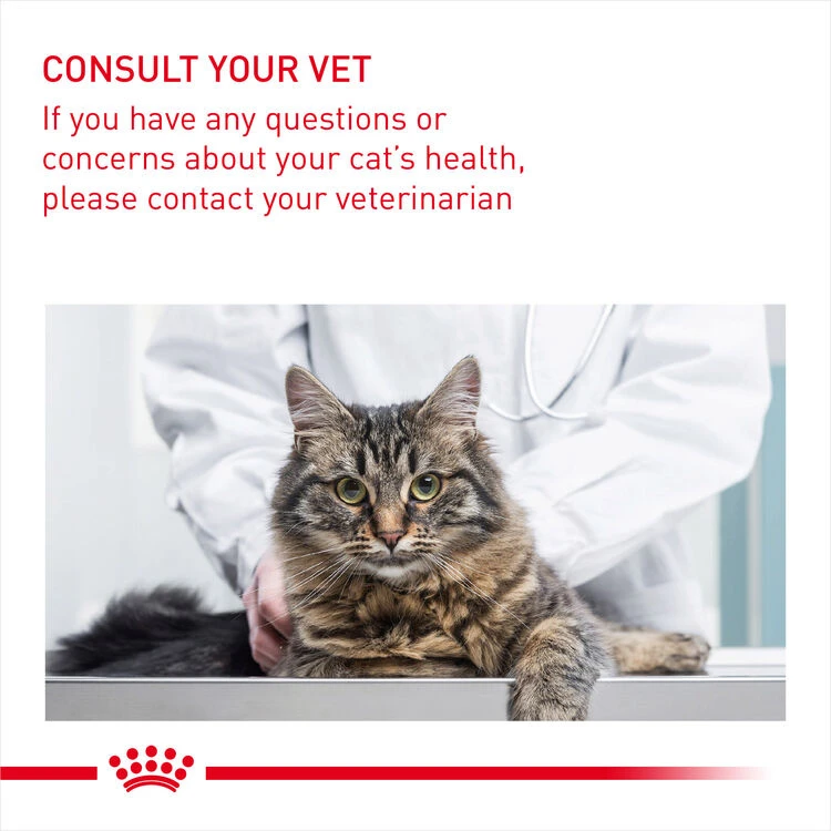 ROYAL CANIN® Light Weight Care In Jelly Adult Wet Cat Food - Image 10