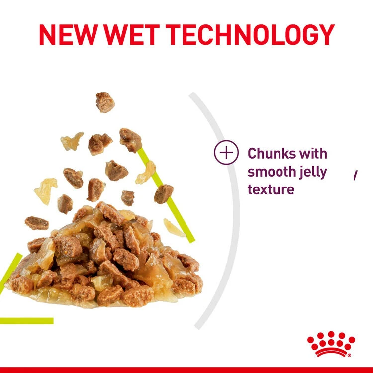 ROYAL CANINĀ® Sensory Smell In Jelly Adult Wet Cat Food - Image 6