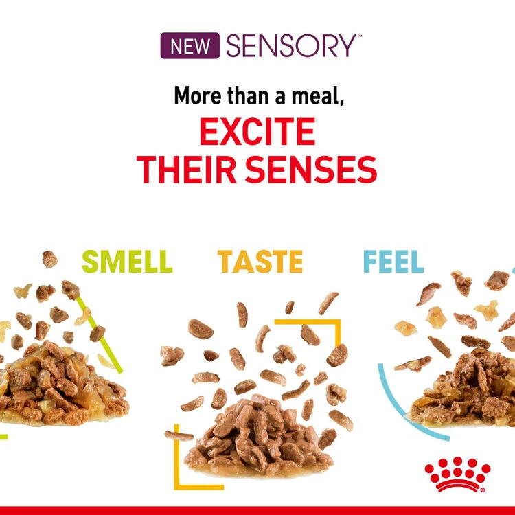 ROYAL CANINĀ® Sensory Smell In Jelly Adult Wet Cat Food - Image 5