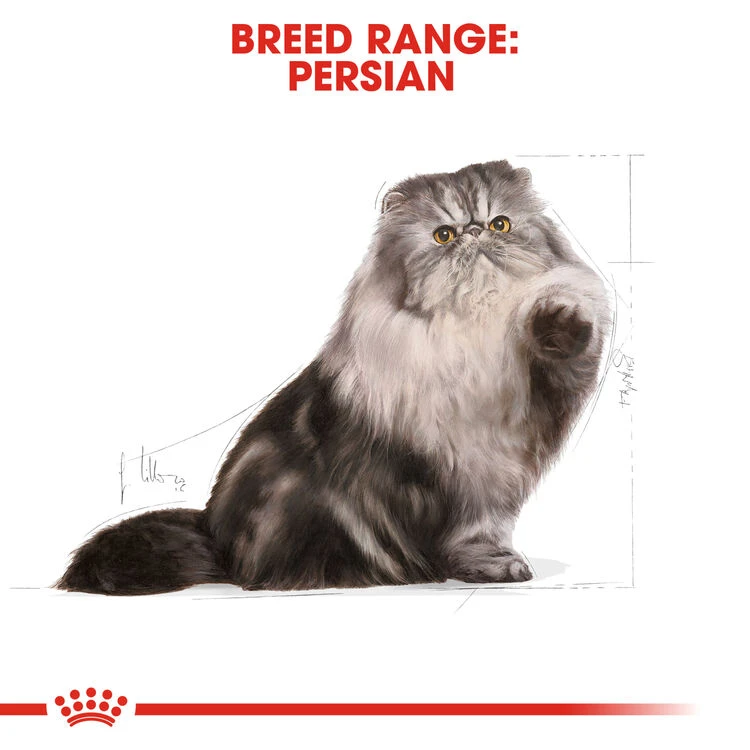 ROYAL CANIN® Persian Adult Dry Cat Food - Image 8