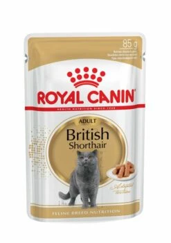 ROYAL CANINĀ® British Shorthair In Gravy Adult Wet Cat Food