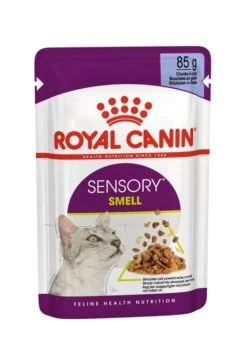 ROYAL CANINĀ® Sensory Smell In Jelly Adult Wet Cat Food