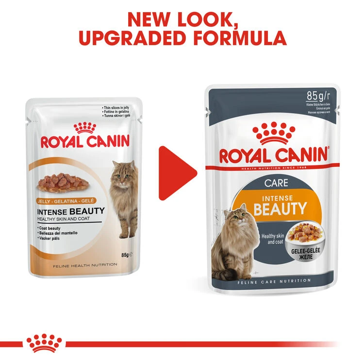 ROYAL CANINĀ® Intense Beauty Care In Jelly Adult Wet Cat Food - Image 3