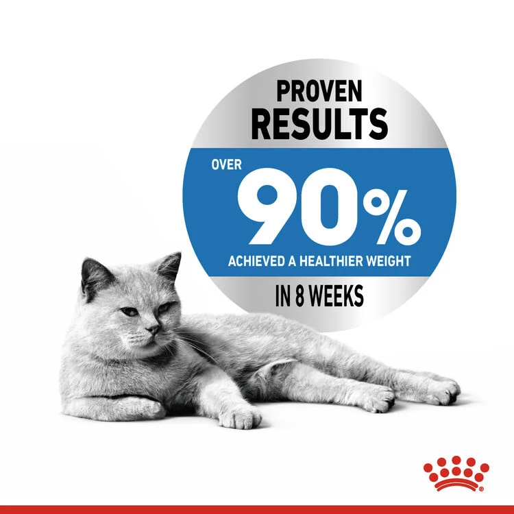 ROYAL CANIN® Light Weight Care In Jelly Adult Wet Cat Food - Image 5