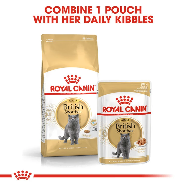 ROYAL CANINĀ® British Shorthair In Gravy Adult Wet Cat Food - Image 5