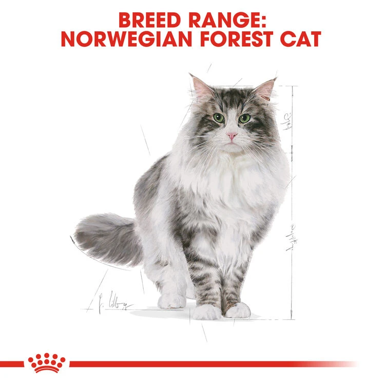 ROYAL CANINĀ® Norwegian Forest Adult Dry Cat Food - Image 8
