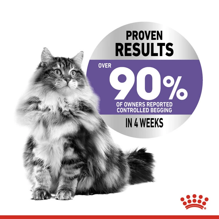 ROYAL CANINĀ® Appetite Control Care Adult Dry Cat Food - Image 6